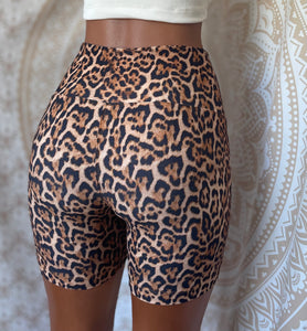 Leopard High Waisted Shorts