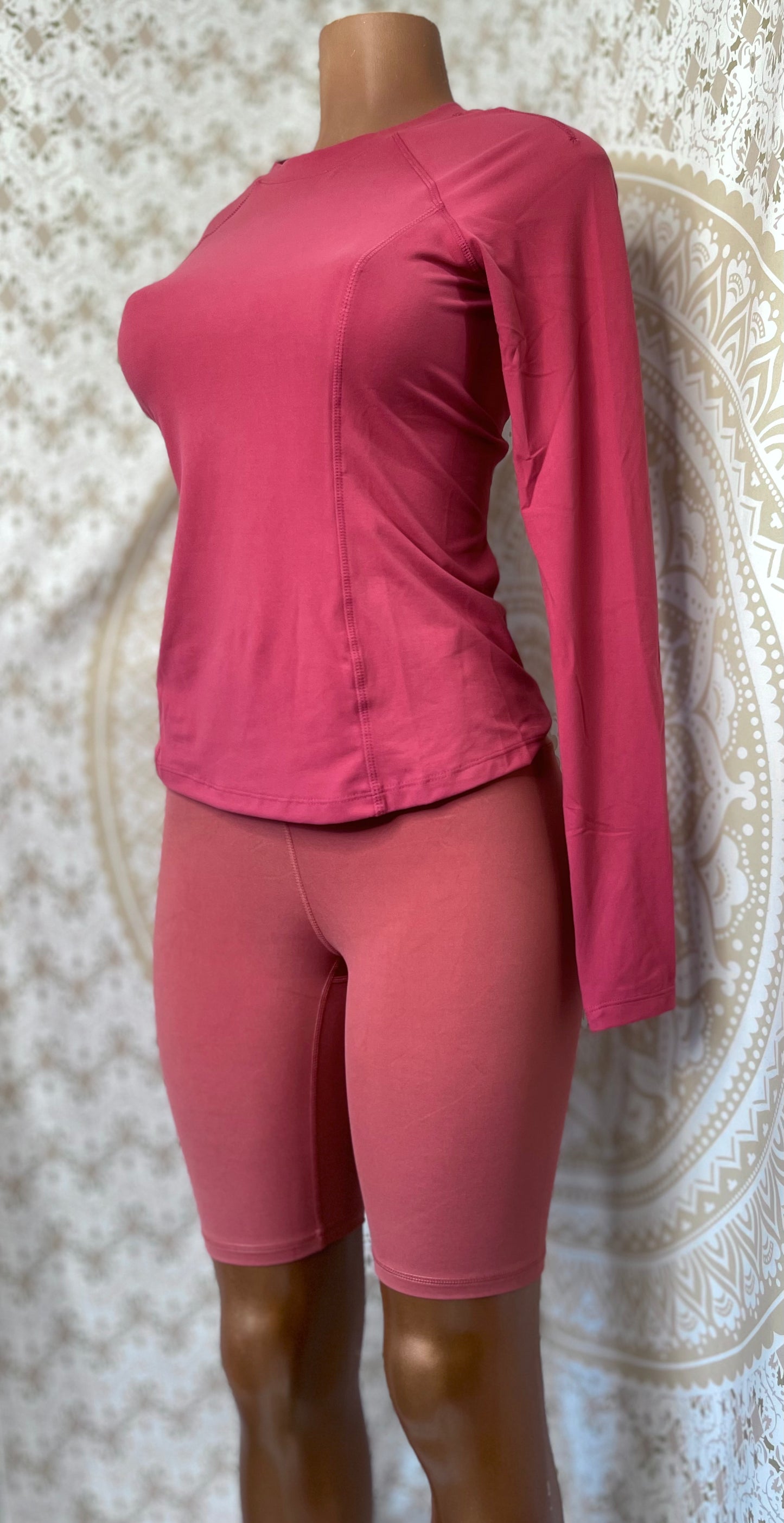 Active Long Sleeve Top Standard/Plus
